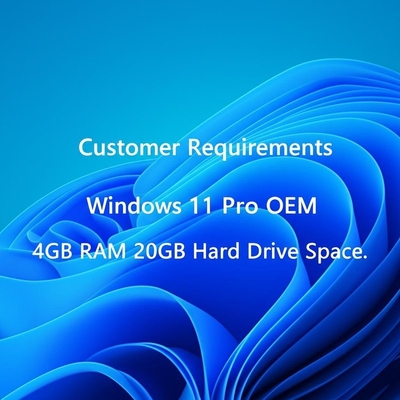 Απαιτήσεις Πελάτη Windows 11 Pro OEM 4GB RAM 20GB Χώρος Σκληρού Δίσκου