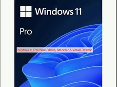 Windows 11 Επιχειρηματική έκδοση, BitLocker & Virtual Desktop