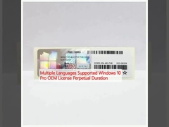 Υποστηρίζεται πολλαπλές γλώσσες Windows 10 Pro OEM License Perpetual Duration